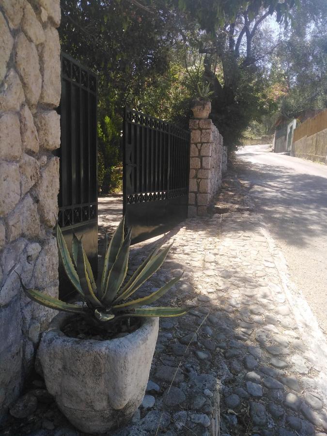 Olea Home Agia Pelagia Chlomou Exterior foto